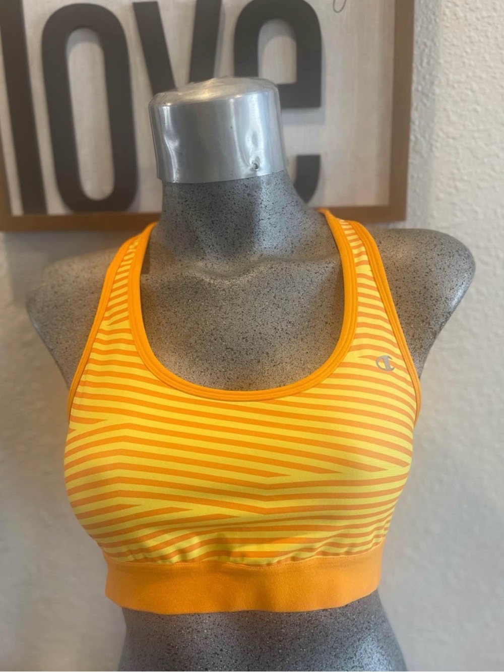 Champion Women’s Sports Bra – Size L